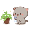 3 °° MoChI PeAcH °° 9