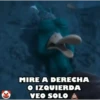 PATOS 🦆🦆🦆 MOV. 16