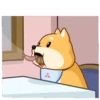 Aiko Shiba 1 💖 MOV 10