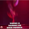 PATOS 🦆🦆🦆 MOV. 17