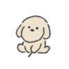 Congdol the kidding puppy (Mov) 15