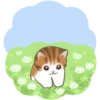 Gatito lindo 1 🐱MOV. 🇲🇽 11