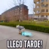 TT 📱7 Perritos 🐕 💖 MOV 12