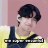 BTS stickers4 16