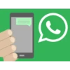 Whatsapp Sticker  - Pako 20
