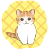 Gatito lindo 1 🐱MOV. 🇲🇽 12