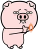 Pig Again 💖 MOV 10