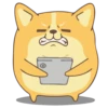 Corgi Dog 🐕 💖MOV 12