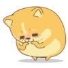 Corgi Dog 🐕 💖MOV 13