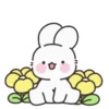 Moongji Bunny 💖MOV 14