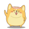 Corgi Dog 🐕 💖MOV 15