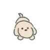 Congdol the kidding puppy (Mov) 17