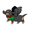 Perritos Disfrazados🐕1🇲🇽Movi 20