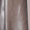 Funny Cats & Dogs 💖MOV 19