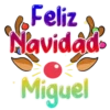 Feliz Navidad Name 1🎄❄️💜 19