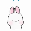 Mamá Coneja🐇💞1🇵🇪Movi 19