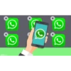 Whatsapp Sticker  - Pako 22