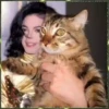 REY DEL POP 4👩🏻‍🎨Efc.1712 22