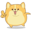 Corgi Dog 🐕 💖MOV 17