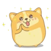 Corgi Dog 🐕 💖MOV 18