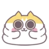 🐱Sinkcomic's Cats 1 MOV.🐱 14