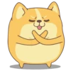 Corgi Dog 🐕 💖MOV 19