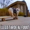 TT 📱7 Perritos 🐕 💖 MOV 17