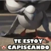 PATOS 🦆🦆🦆 MOV. 22