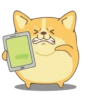 Corgi Dog 🐕 💖MOV 20