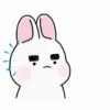 Mamá Coneja🐇💞1🇵🇪Movi 23