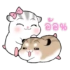 Hamster 👩🏻‍🎨 Mov.1712 14