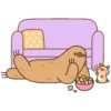 Cheek Hamster🐿️1🇲🇽Movi 17