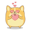 Corgi Dog 🐕 💖MOV 22