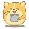 Corgi Dog 🐕 💖MOV 23