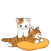Gatito lindo 1 🐱MOV. 🇲🇽 15
