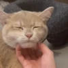 IG: @Mashu.cat 19