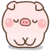 🐷 CeLeBrAtE PiG 🎉 18