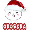 Rabit Navidad 1🐇MOV. 🇲🇽 24