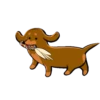 Perritos Disfrazados🐕1🇲🇽Movi 26