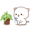 3 °° MoChI PeAcH °° 25