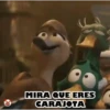 PATOS 🦆🦆🦆 MOV. 25