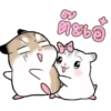 Hamster 👩🏻‍🎨 Mov.1712 18