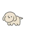 Congdol the kidding puppy (Mov) 24