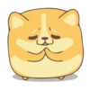 Corgi Dog 🐕 💖MOV 24