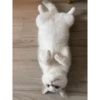 IG: @Mashu.cat 2 23