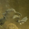 Frogs 8