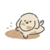 Congdol the kidding puppy (Mov) 27