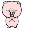 Pig Again 💖 MOV 23