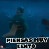PATOS 🦆🦆🦆 MOV. 30