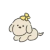 Congdol the kidding puppy (Mov) 29